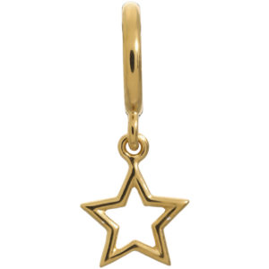 Endless Jewelry Star Gold Plated Charm